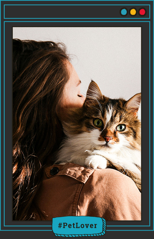 cuando se desparasita interna y externamente a un gato